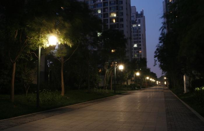 С�^(q��)����ͥԺ��ҹ������Ч��