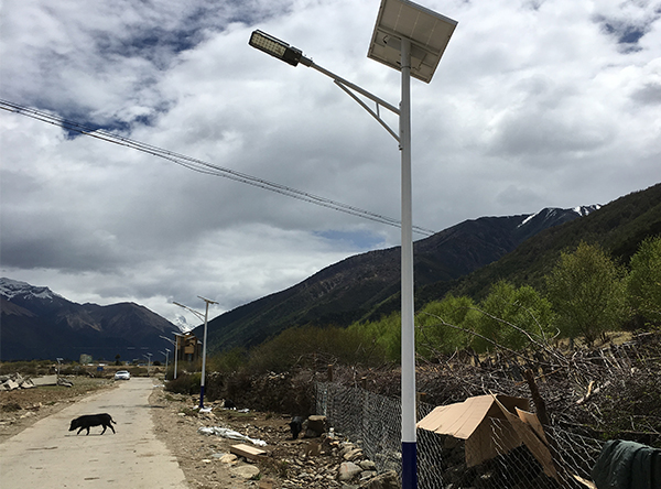 新農(nóng)村鄉(xiāng)村道路太陽能路燈安裝實(shí)例效果圖
