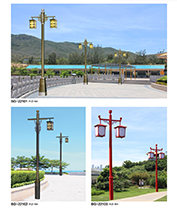 �¹ŷ���LEDͥԺ��