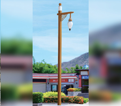 ľ�y����ë�P�^���^ͥԺ��