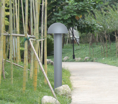 QDCPD-BG43801�A�^Ģ����ƺ��